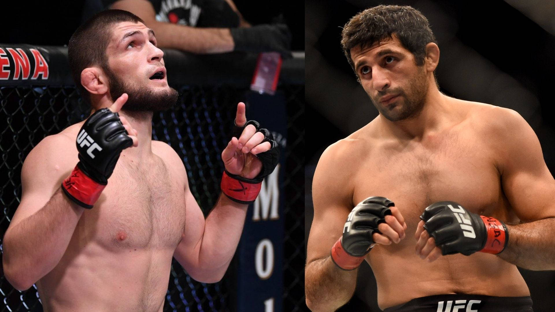 Khabib Nurmagomedov And Beneil Dariush Background