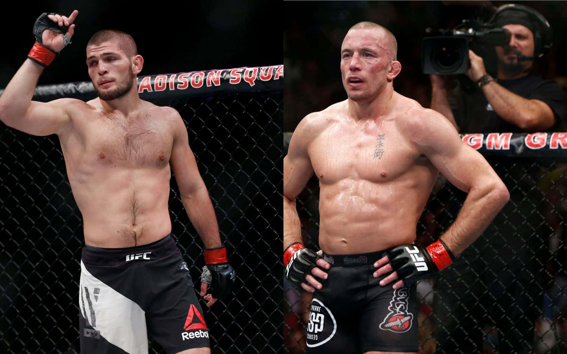 Khabib Nurmagomedov And Georges St-pierre