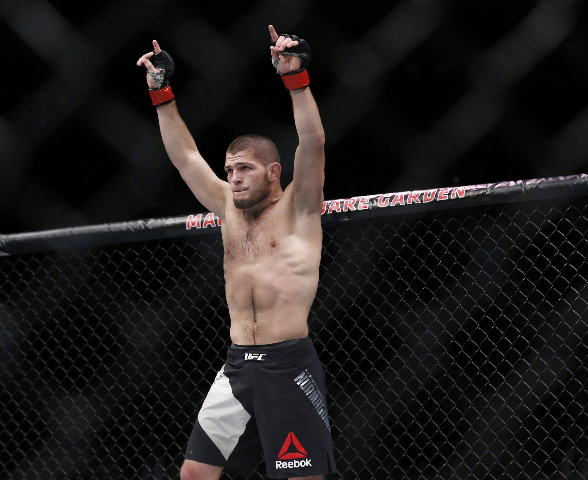 Khabib Nurmagomedov Pointing Up Background