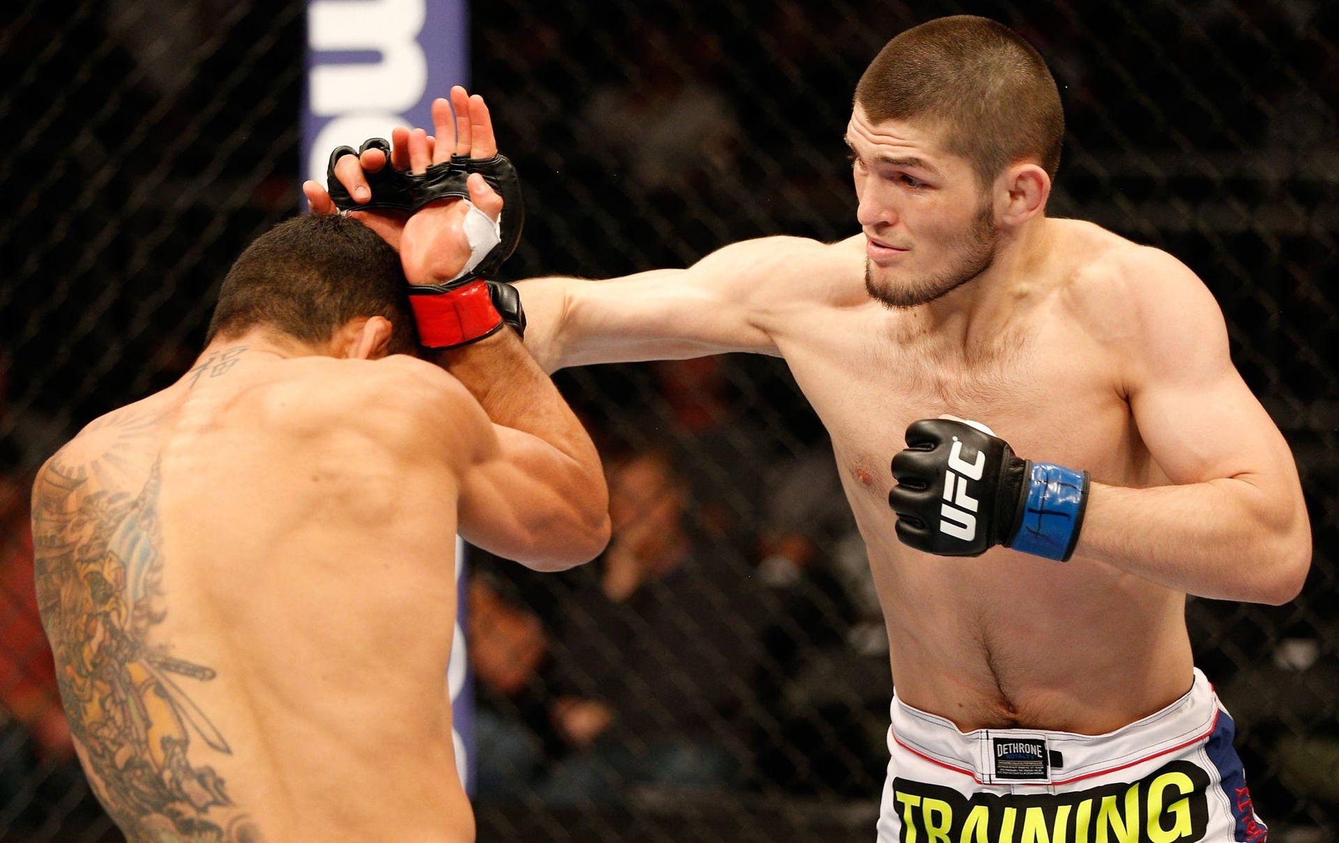 Khabib Nurmagomedov Punching Background