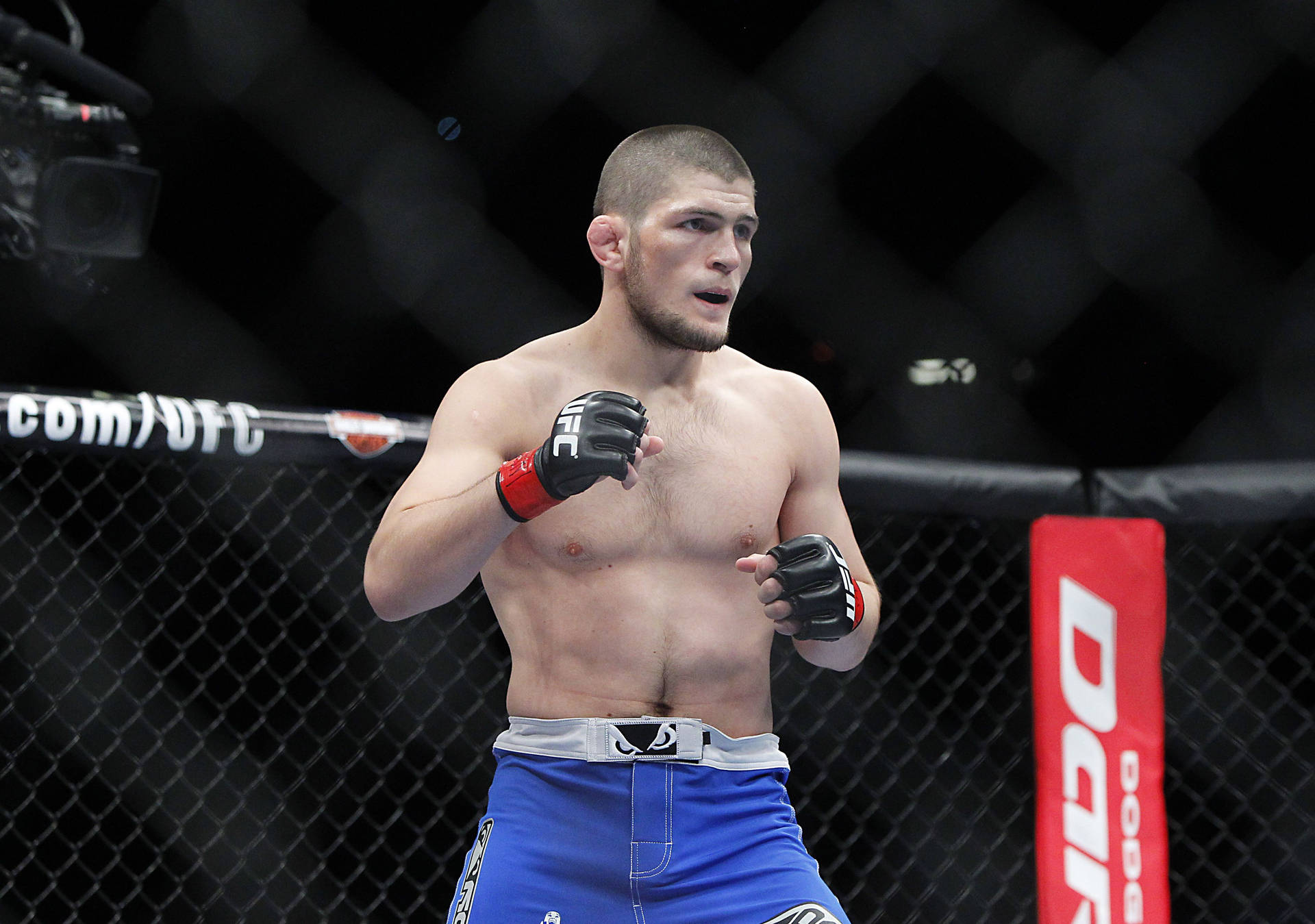 Khabib Nurmagomedov Ufc Fighting Background