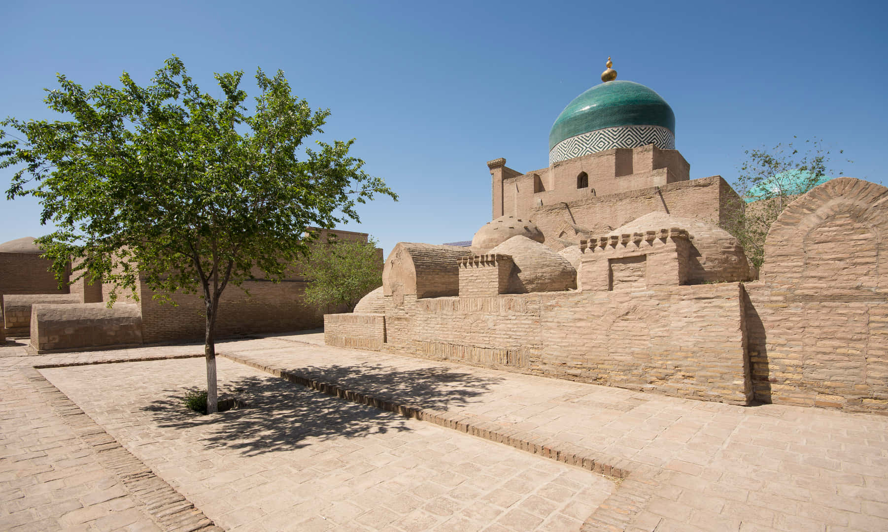 Khiva Single Tree Background