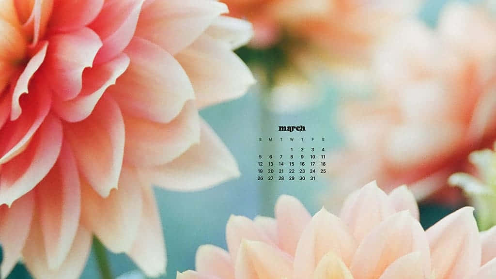 Kick Off Spring Time With A Colorful March Desktop Wallpaper Background
