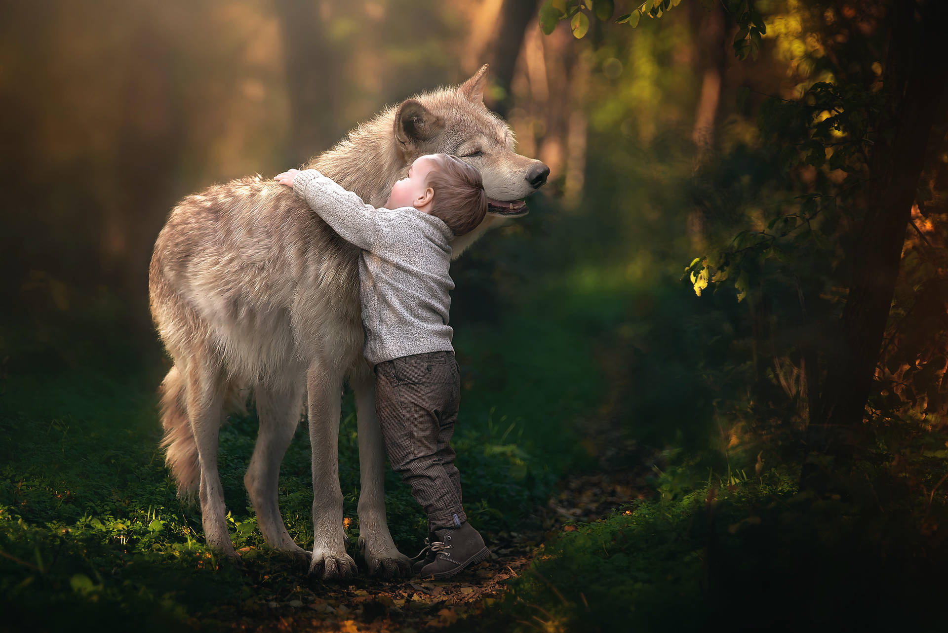 Kid And Wolf Background