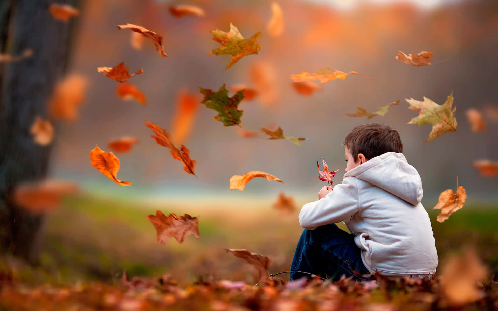 Kid Waiting During The Autumn Season Background