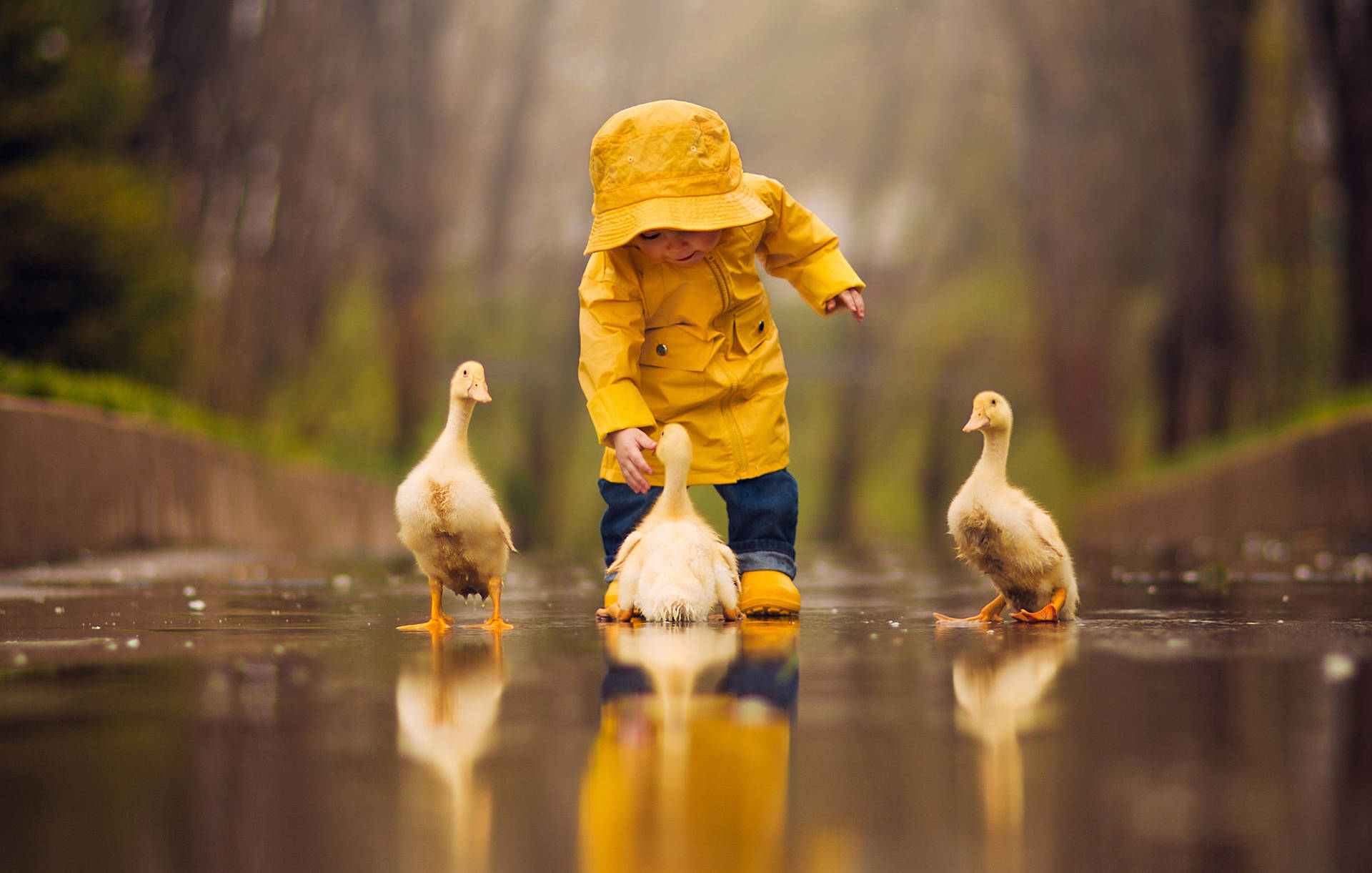 Kid With Ducks Background