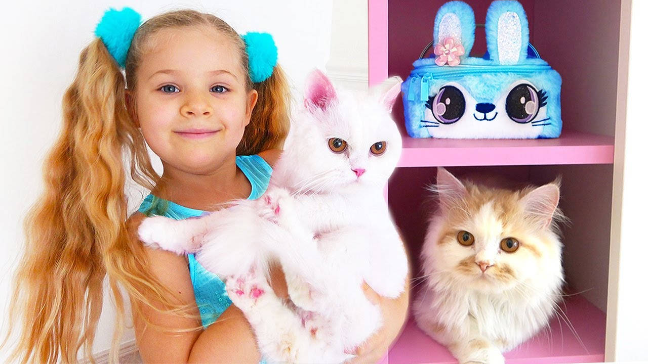 Kids Diana Show Cuddly Cats Background