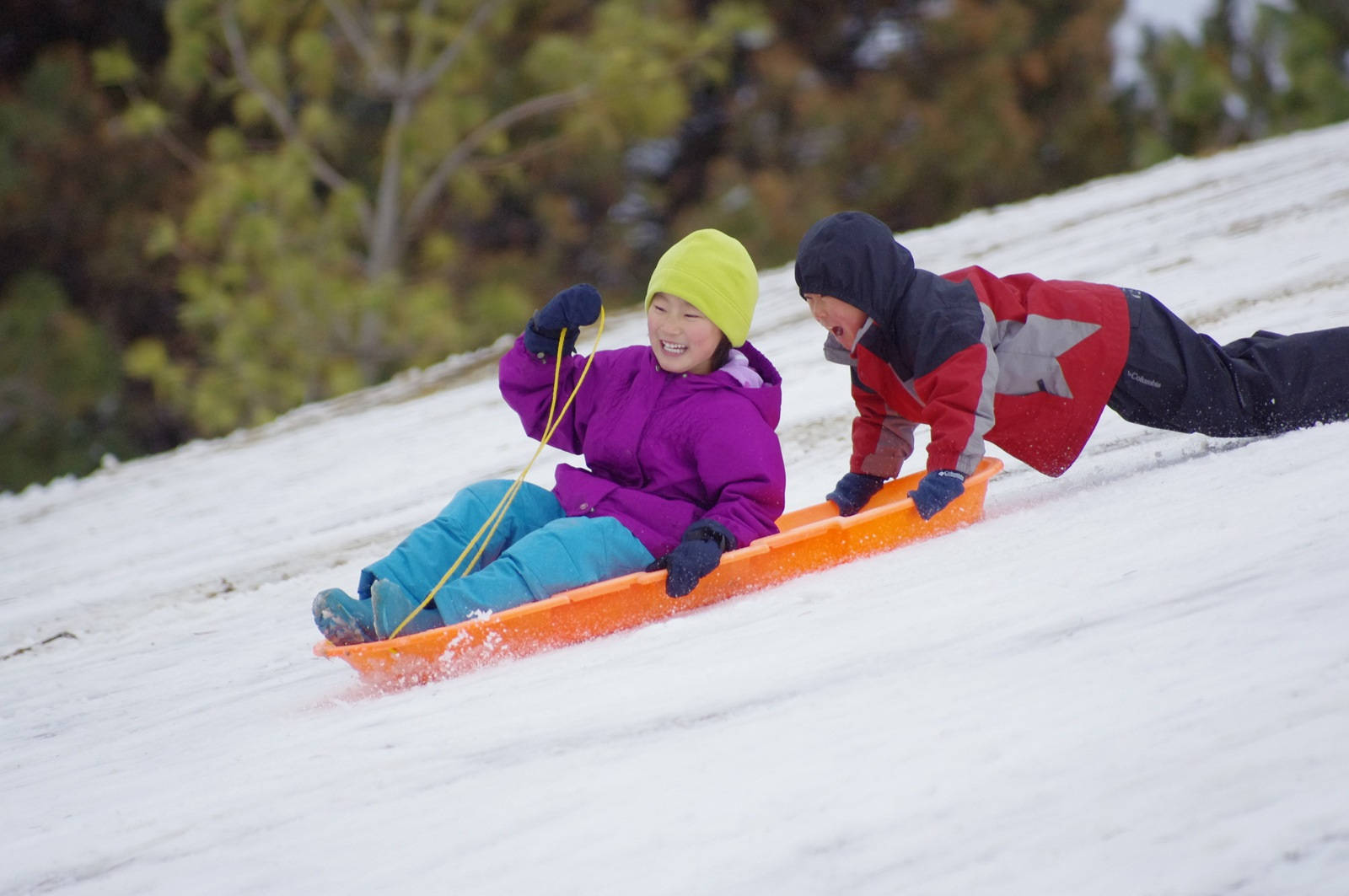 Kids Enjoys Sledding Outdoor Background