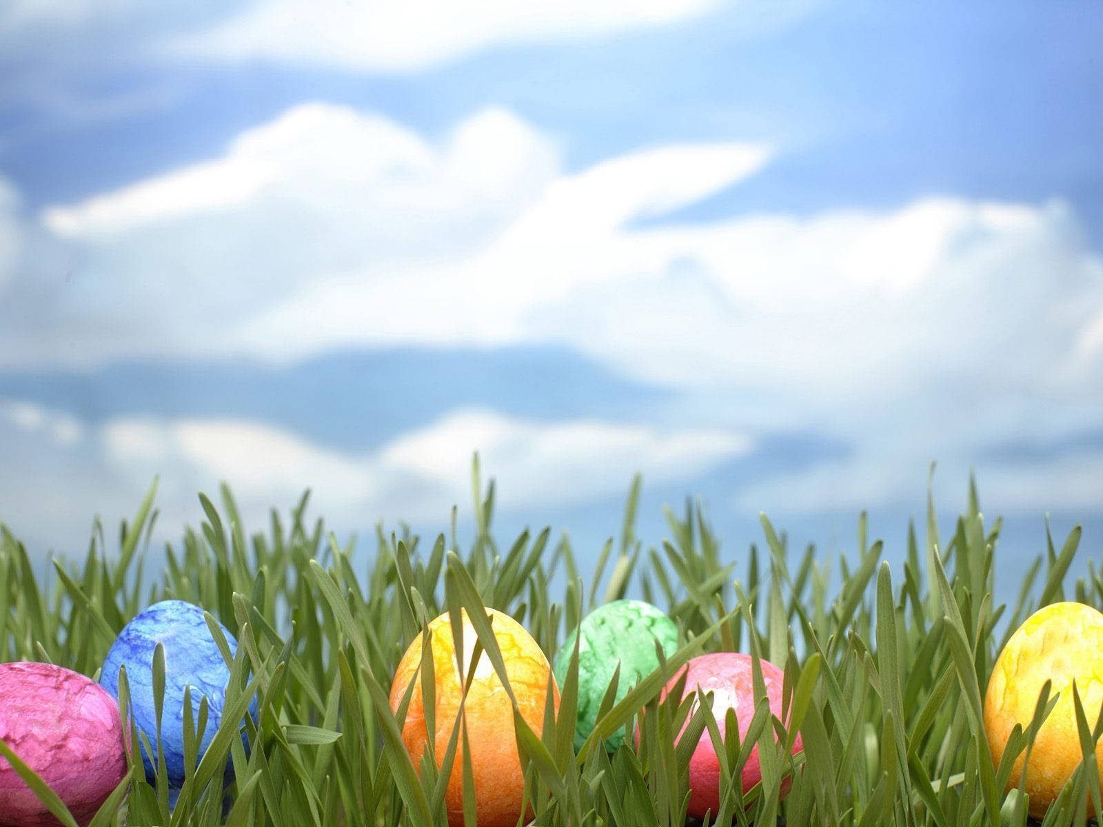 Kids Having Fun At An Easter Egg Hunt Background