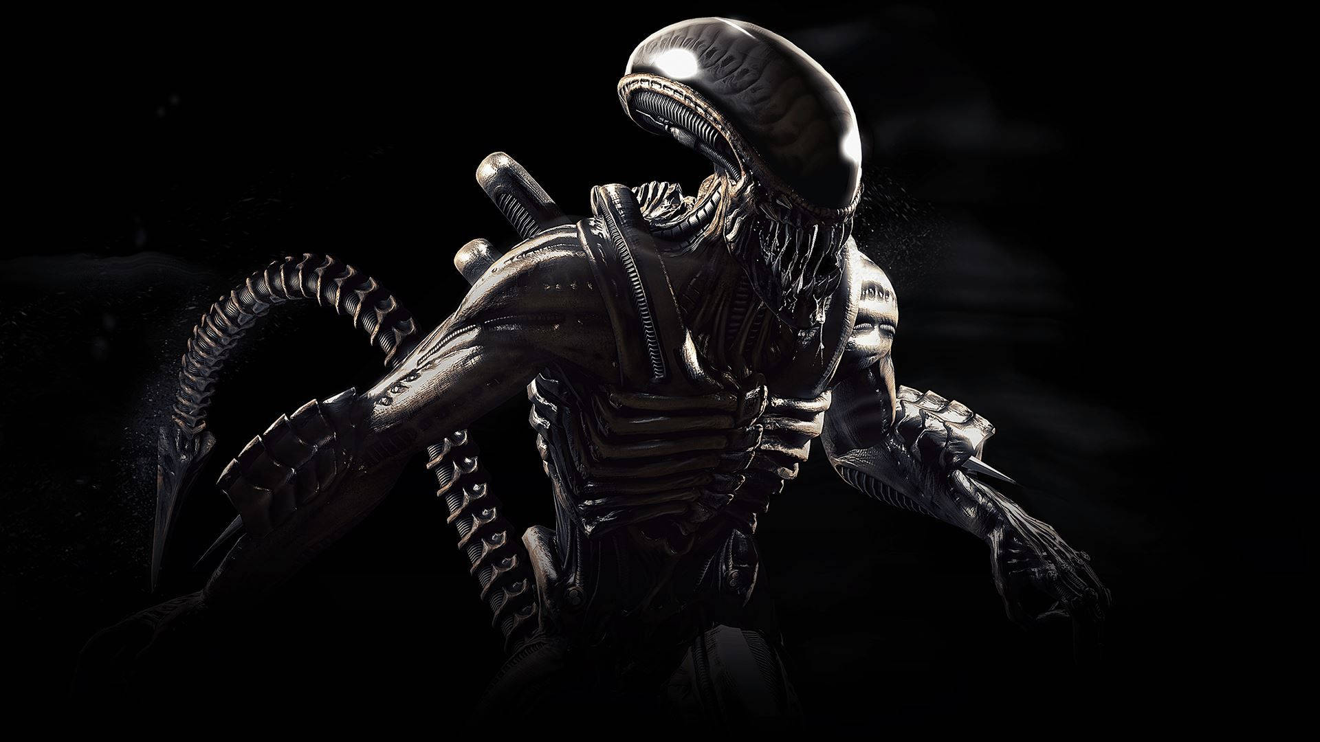Killer Alien In Black Background