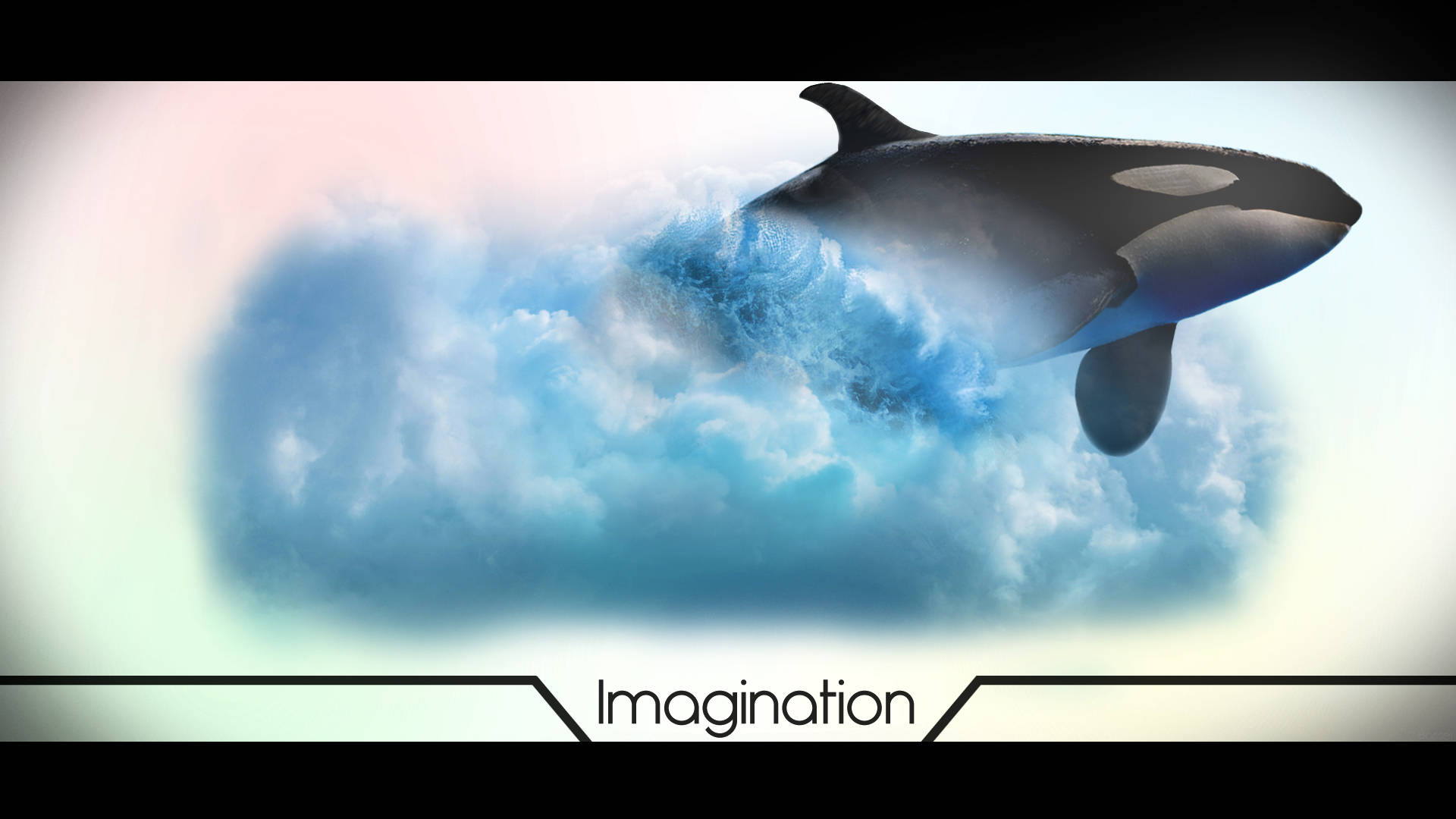 Killer Whale Coming Out Of Waves Background