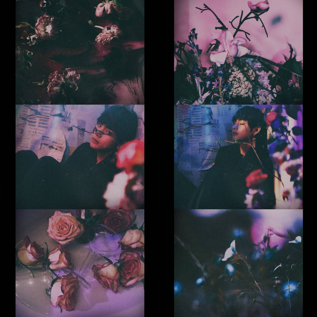 Kim Tae-hyung Aesthetic Dark Roses Background