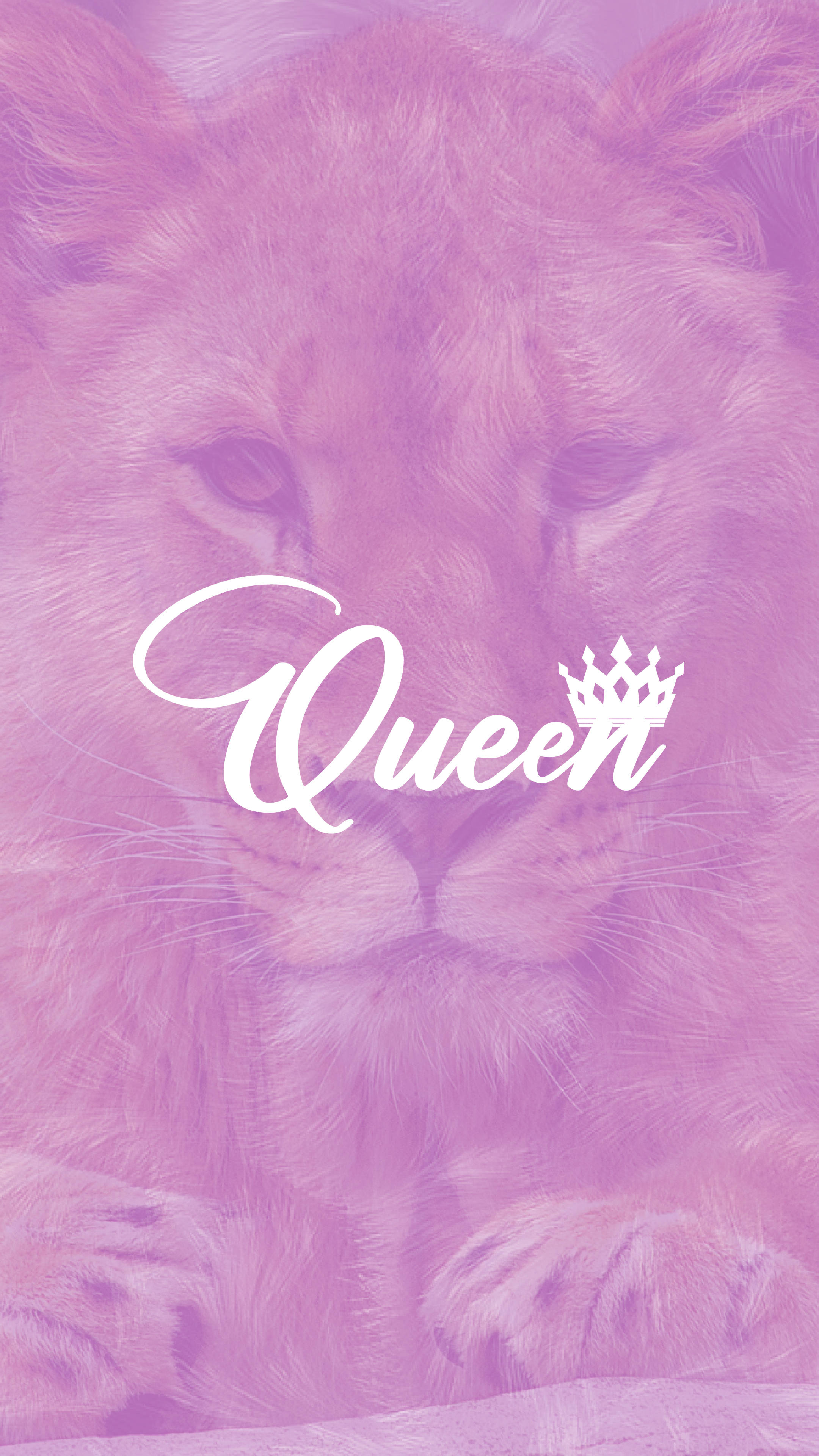 King And Queen Purple Lioness Background