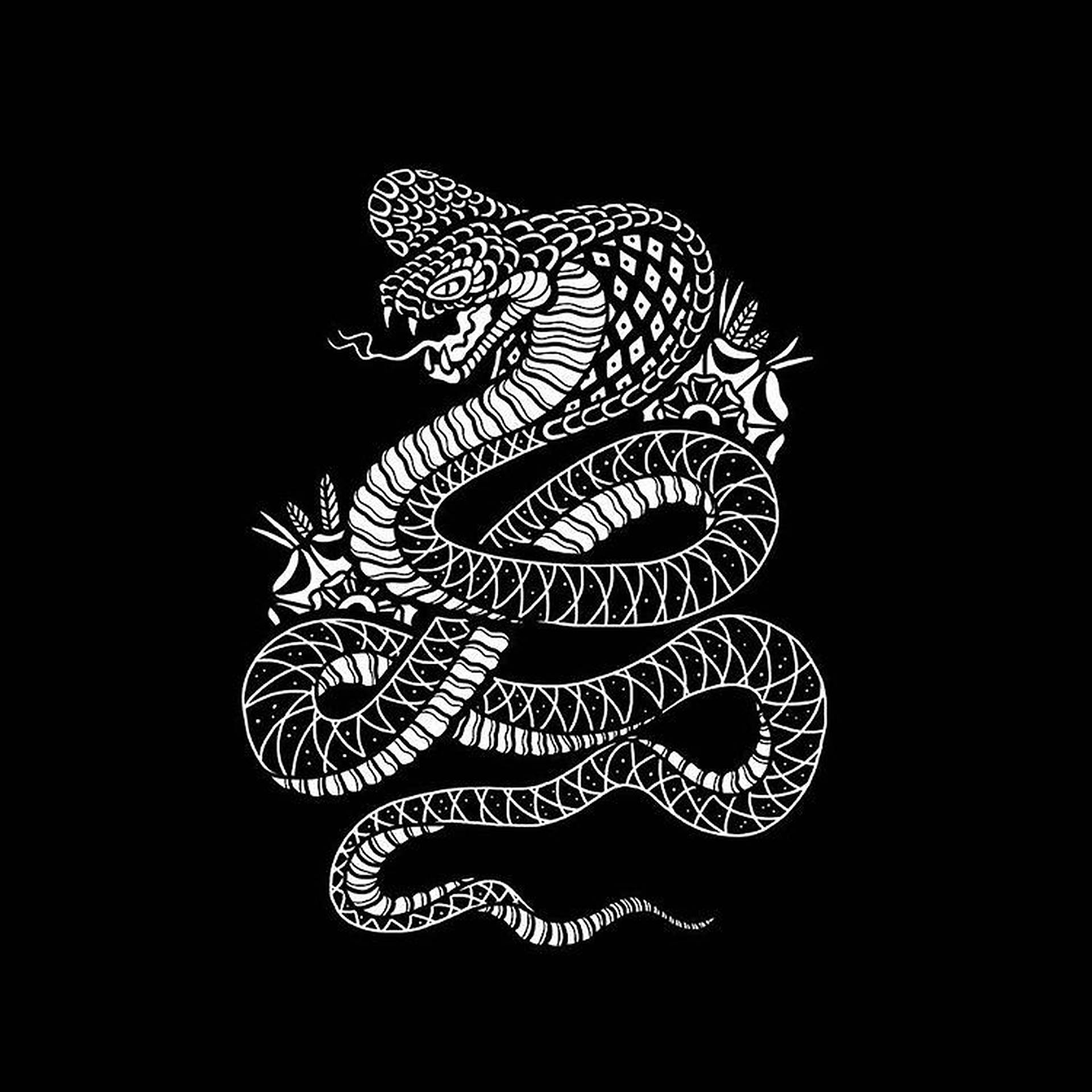 King Cobra Black And White Art