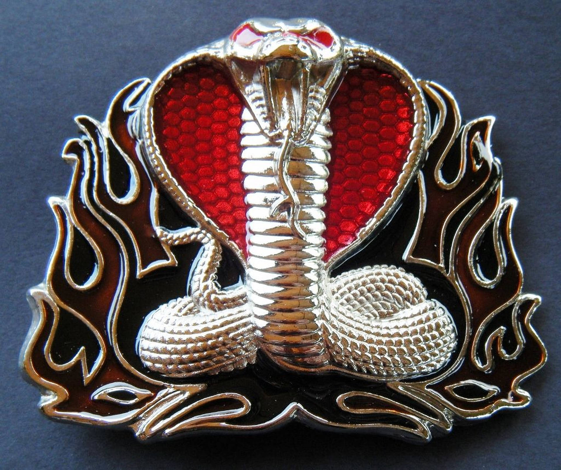 King Cobra Brooch Background