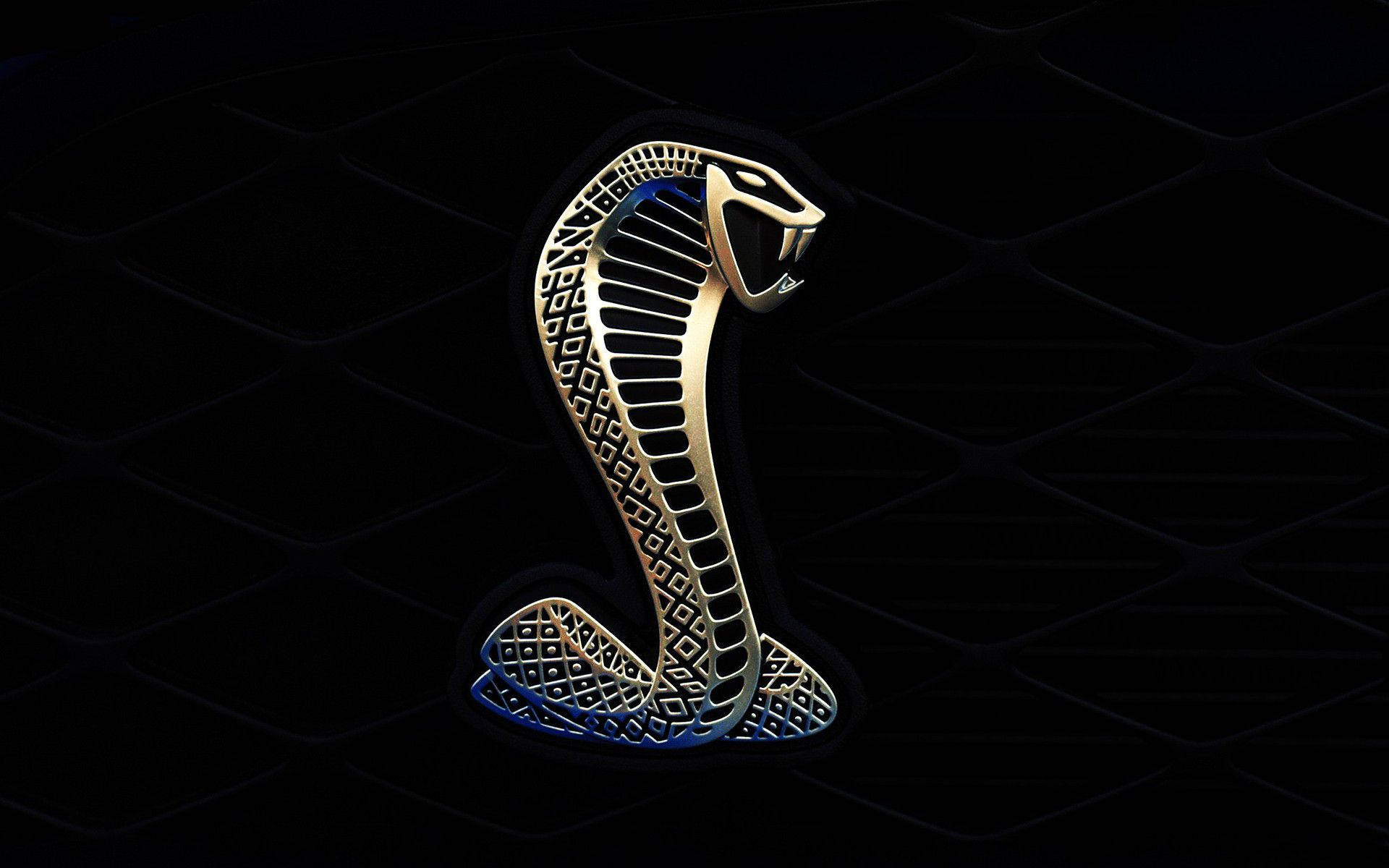 King Cobra Gold Logo Background