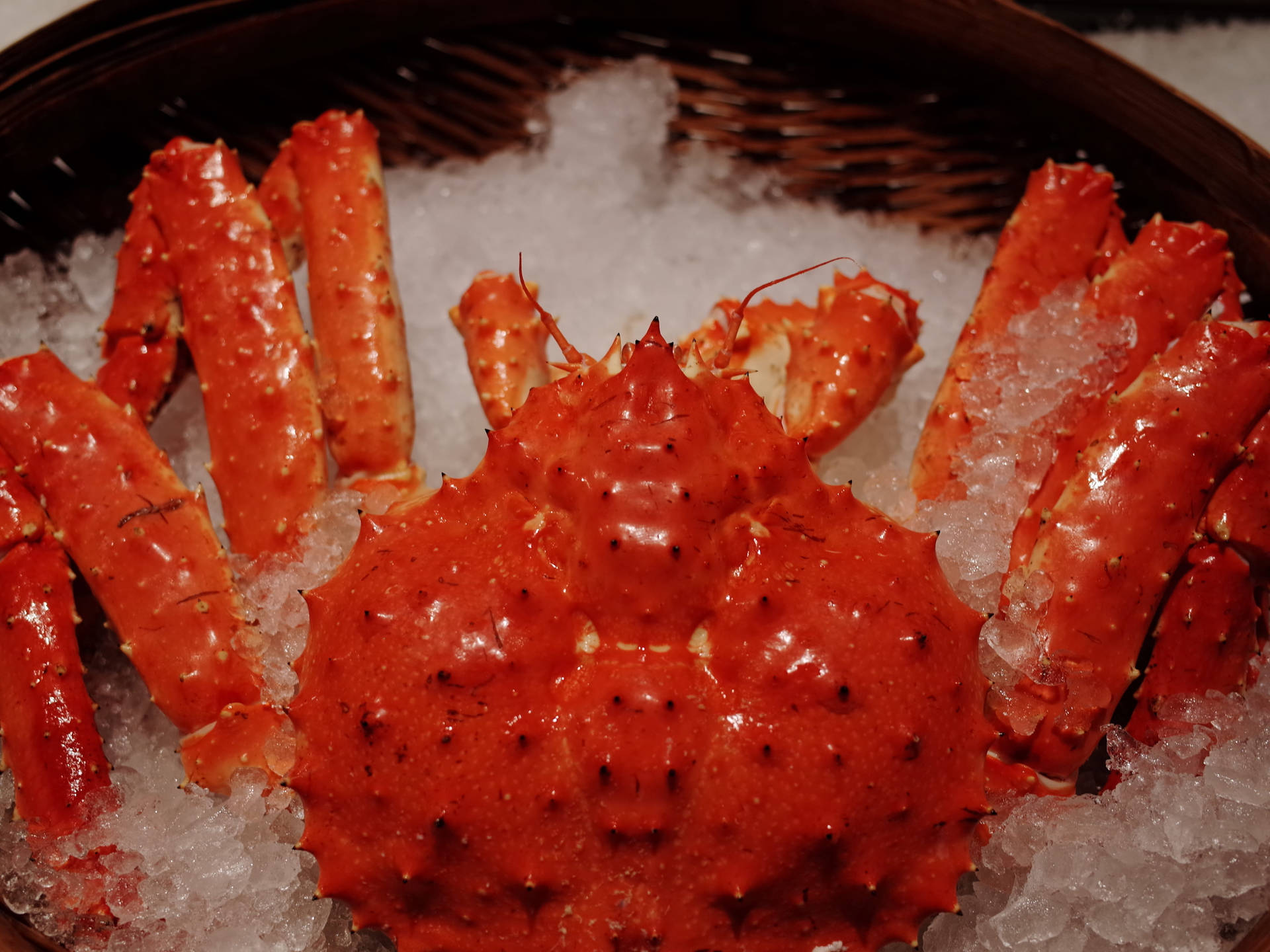 King Crab Buried In Ice Background