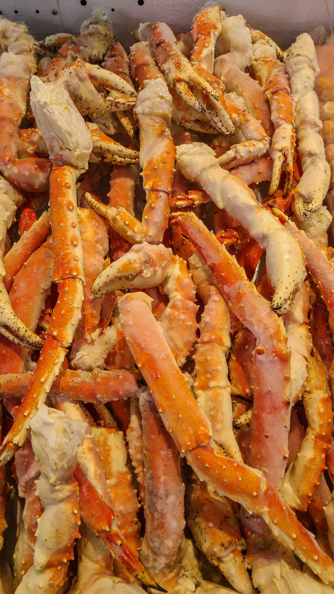 King Crab Legs Seafood Background