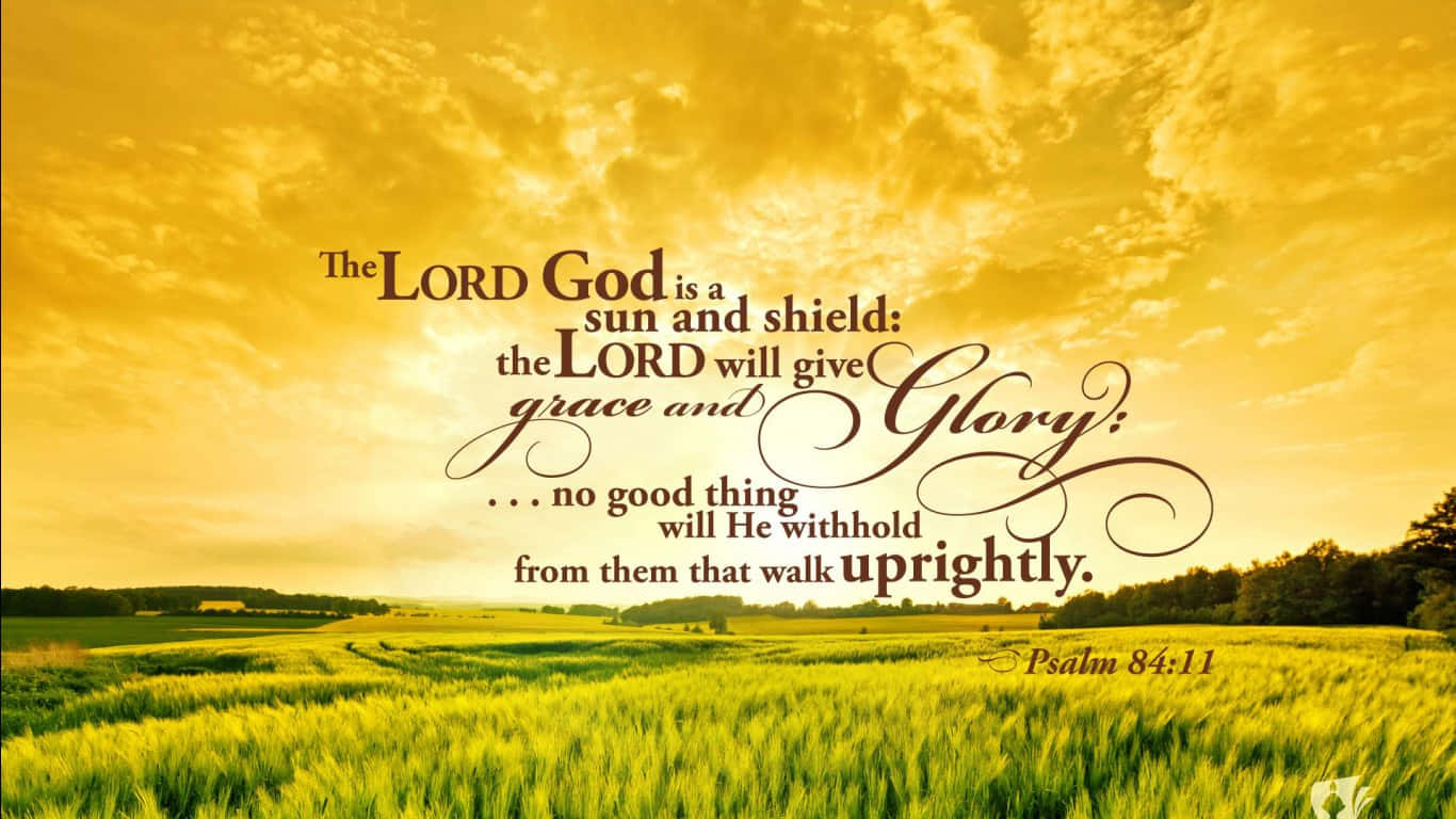 King James Bible 1366 X 768 Background