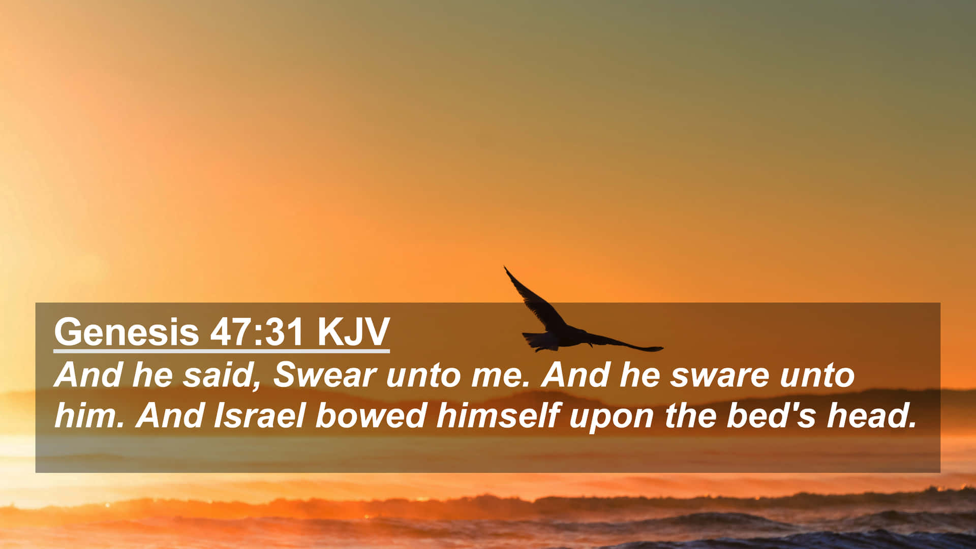 King James Bible 3840 X 2160 Background