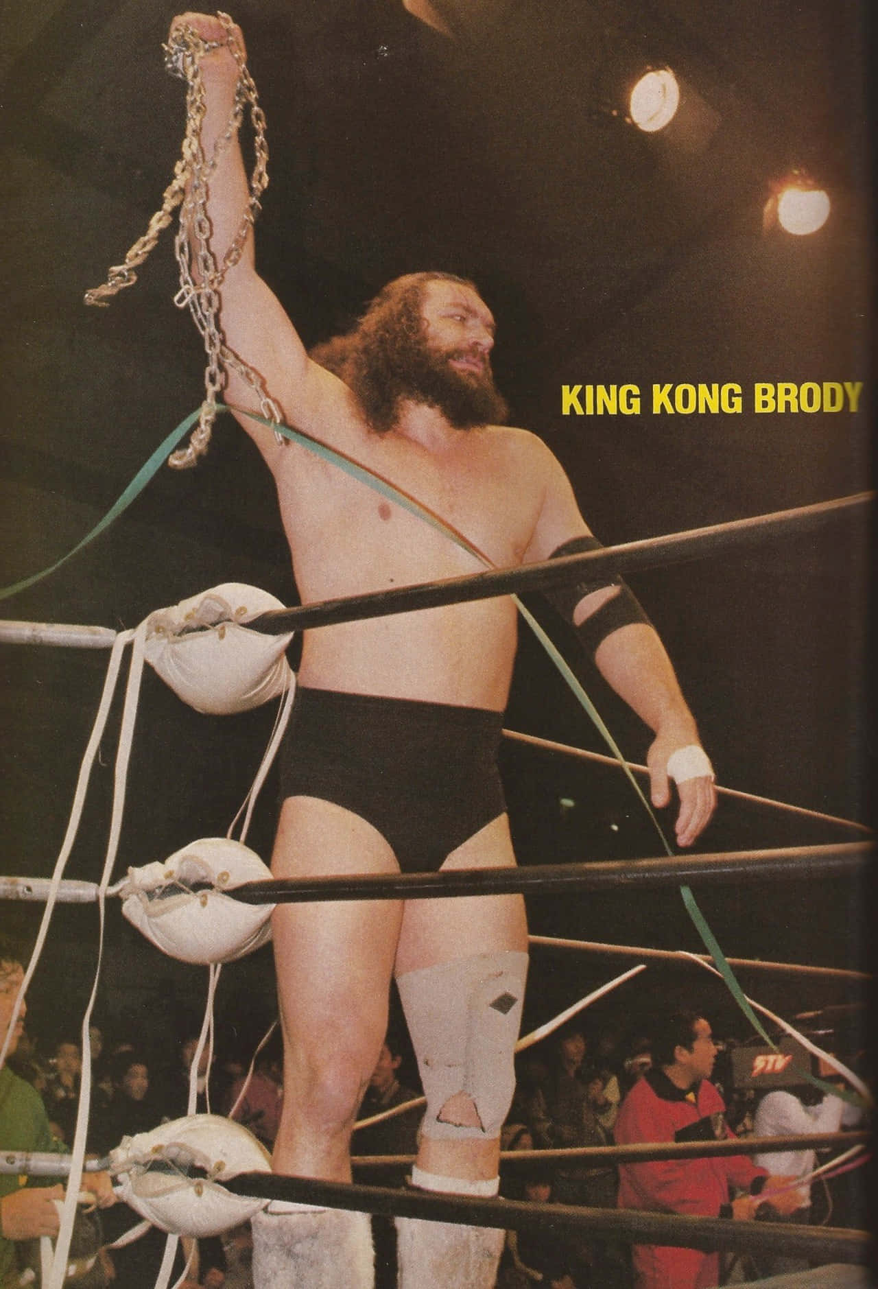 King Kong Bruiser Brody Background