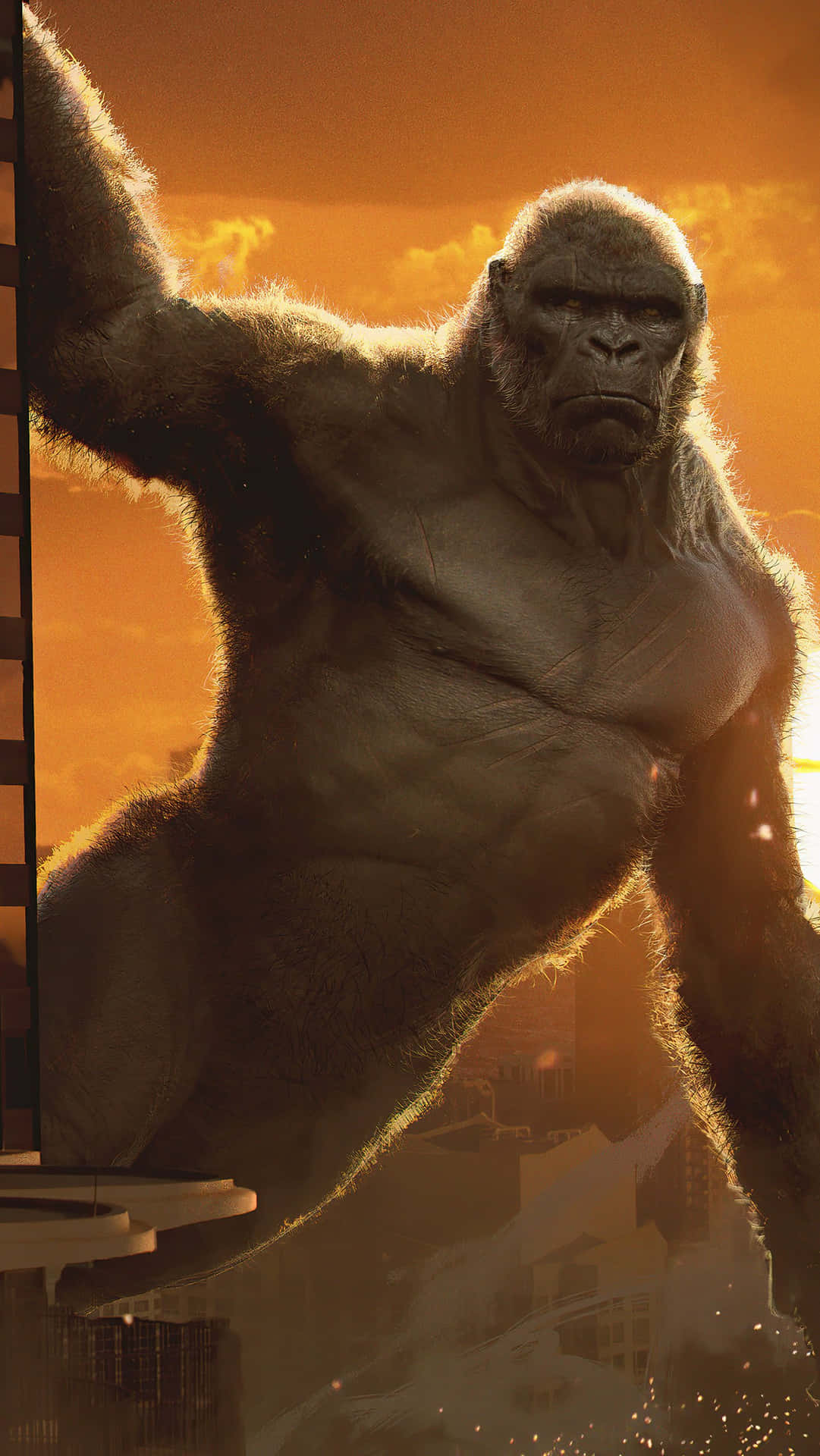 King Kong Wallpapers Hd Background