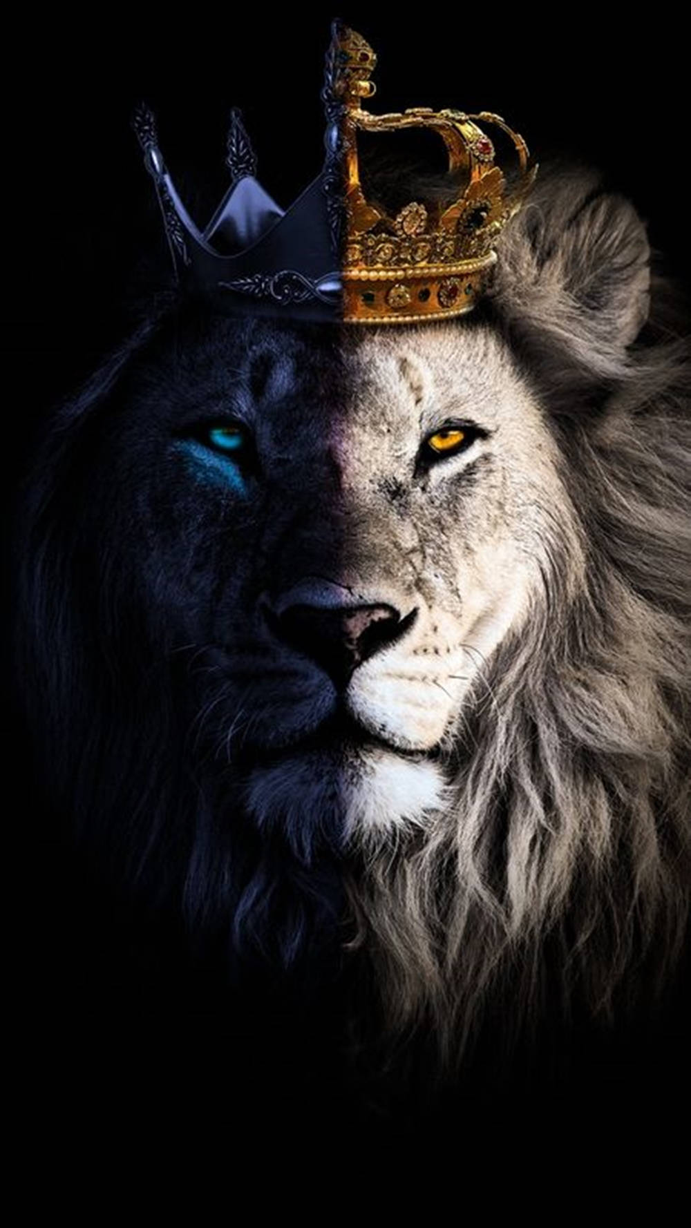 King Lion Galaxy Background