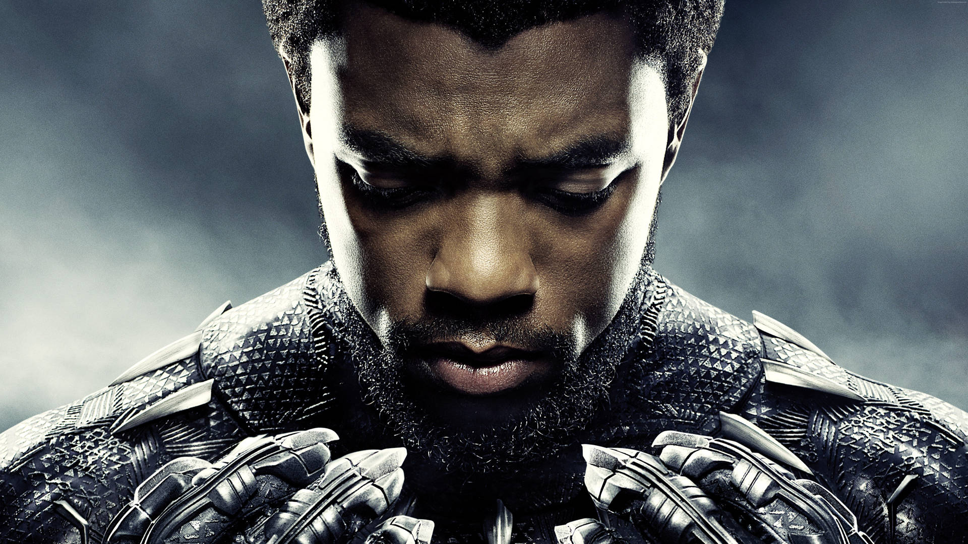 King T'challa Black Panther 4k Ultra Hd Dark Background