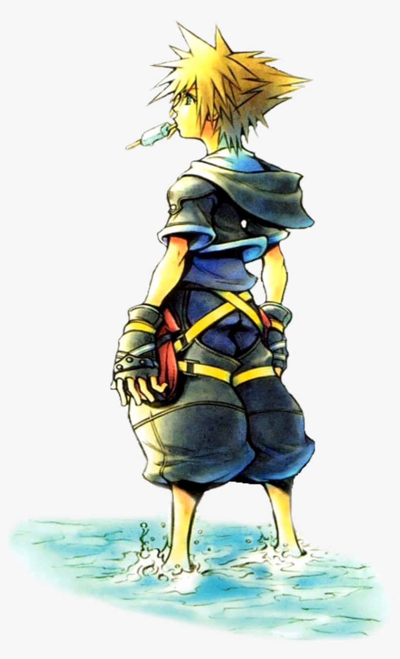 Kingdom Hearts Boy In Water Phone Background