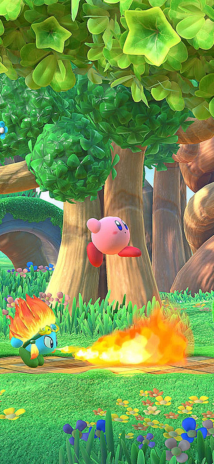 Kirby - Kirby's Dream World Screenshot Background