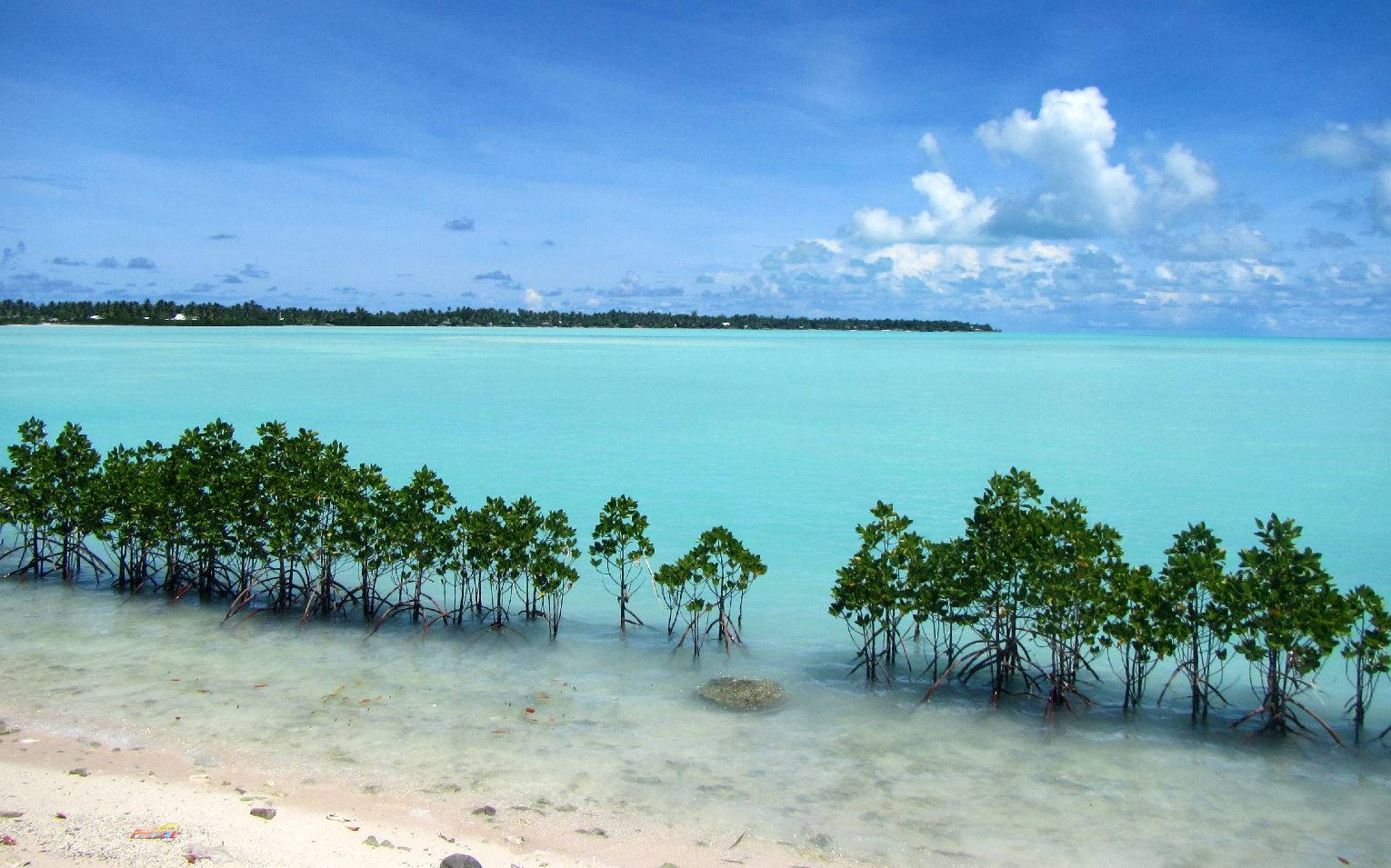 Kiribati Mangrove Atoll Background