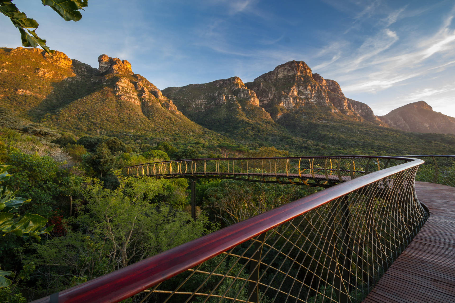 Kirstenbosch Bridge Cape Town Background