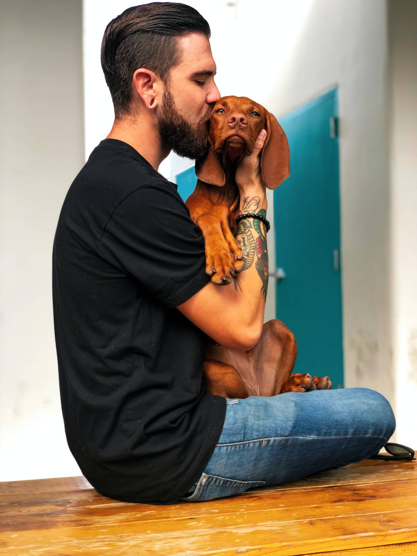 Kissing Dog Love Full Hd