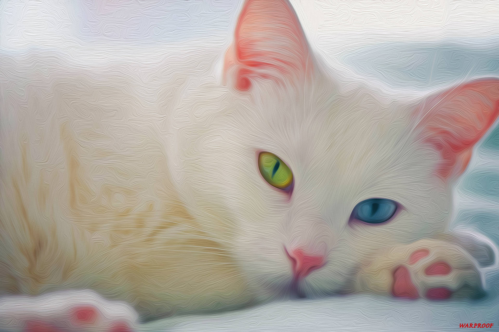 Kitten With Different Eyes Background