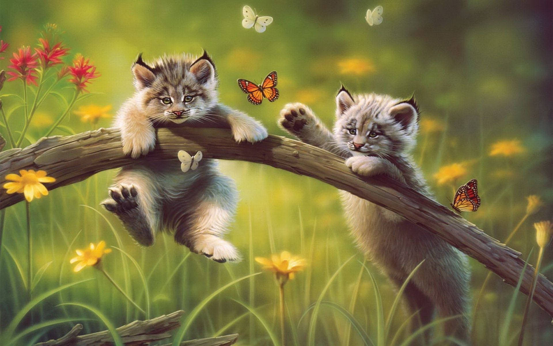 Kittens Chasing Butterflies Background