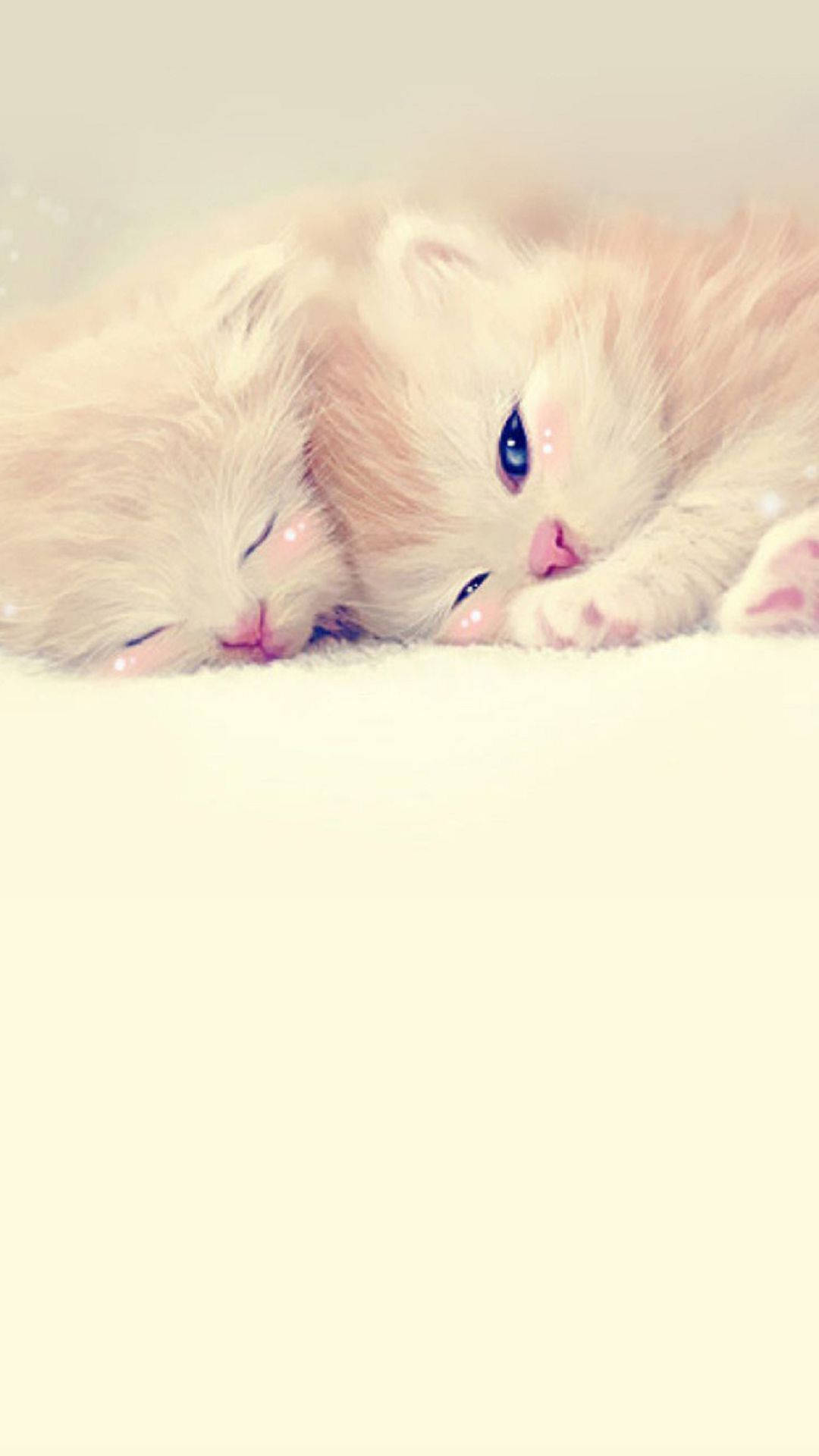 Kittens Cute Iphone Lock Screen Background