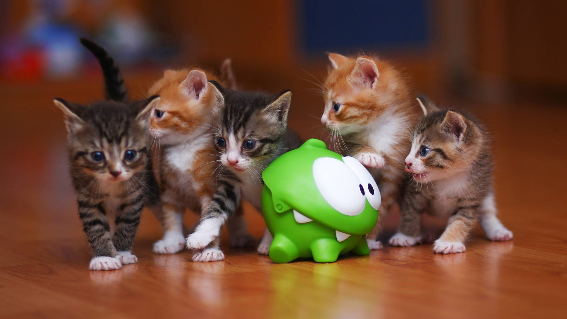 Kittens_ Meeting_ Green_ Toy Background