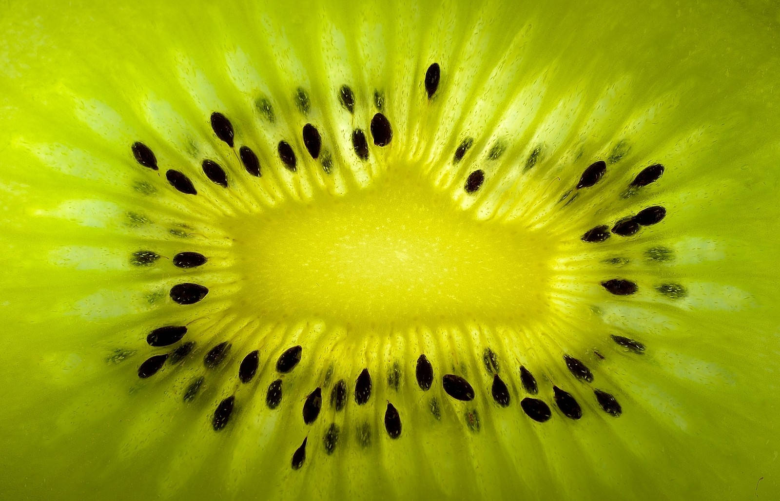 Kiwi Core Macro Background