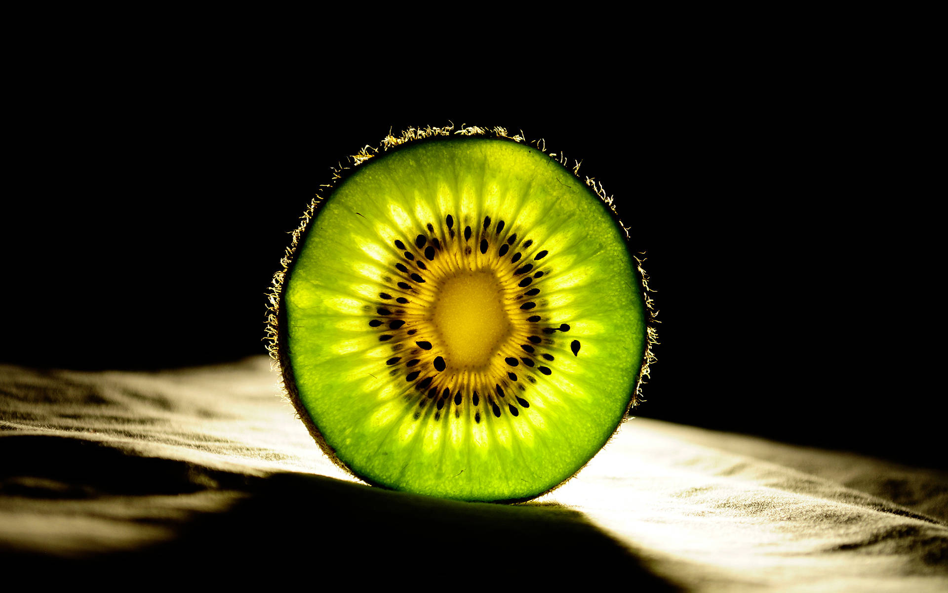 Kiwi Slice Back Light Background