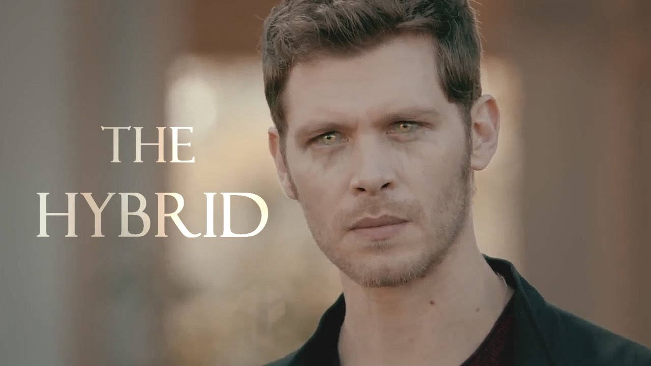 Klaus Mikaelson The Hybrid Background