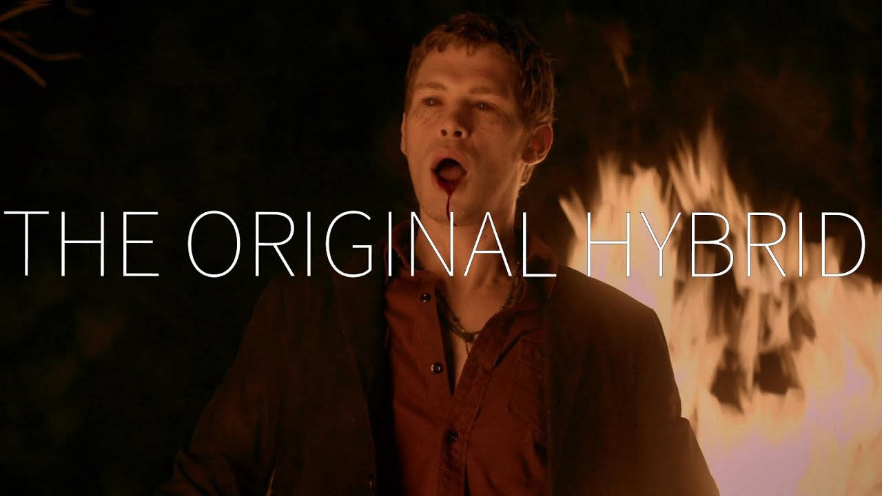 Klaus Mikaelson The Original Hybrid Background