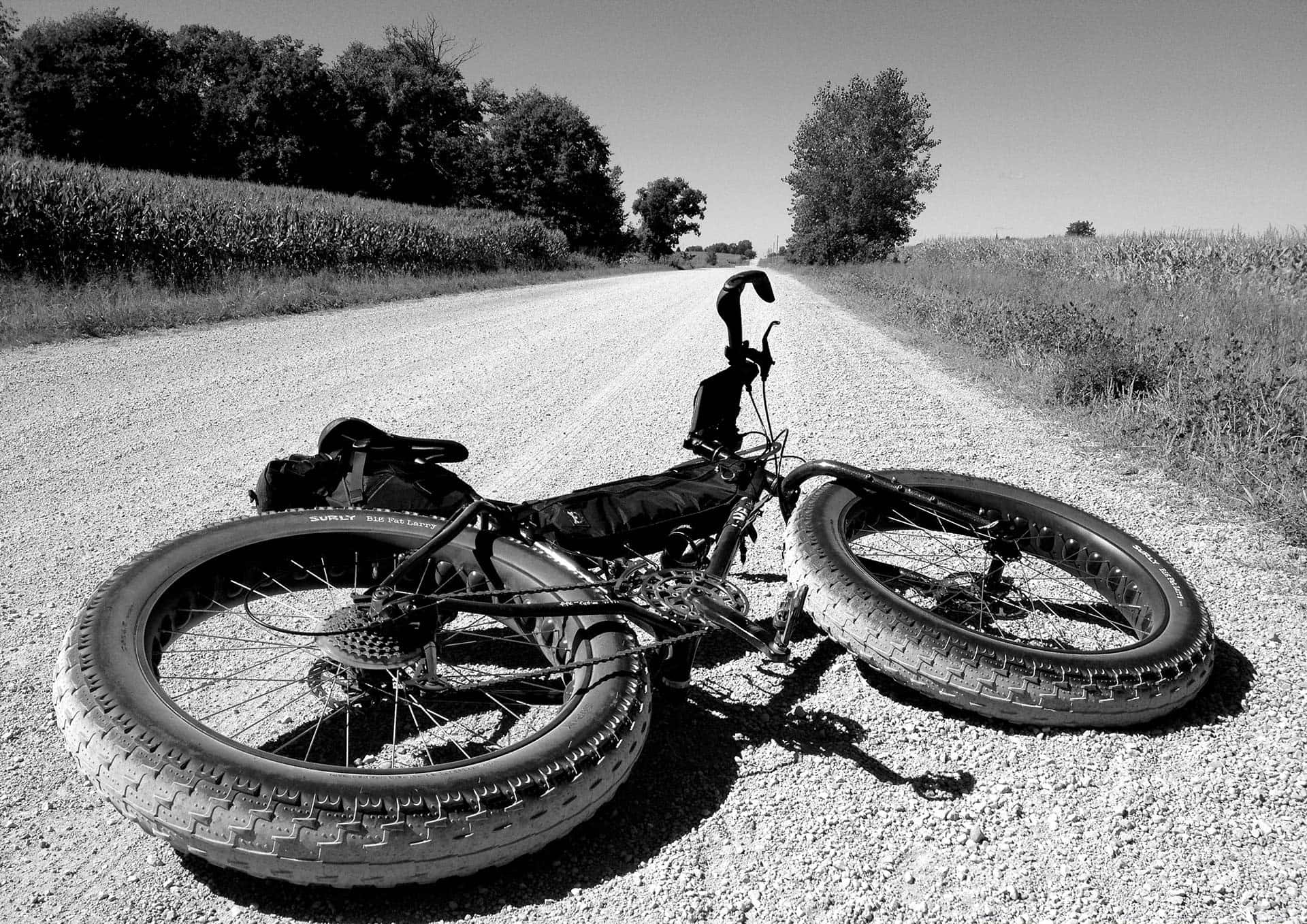 Knocked Over Surly Bike Background
