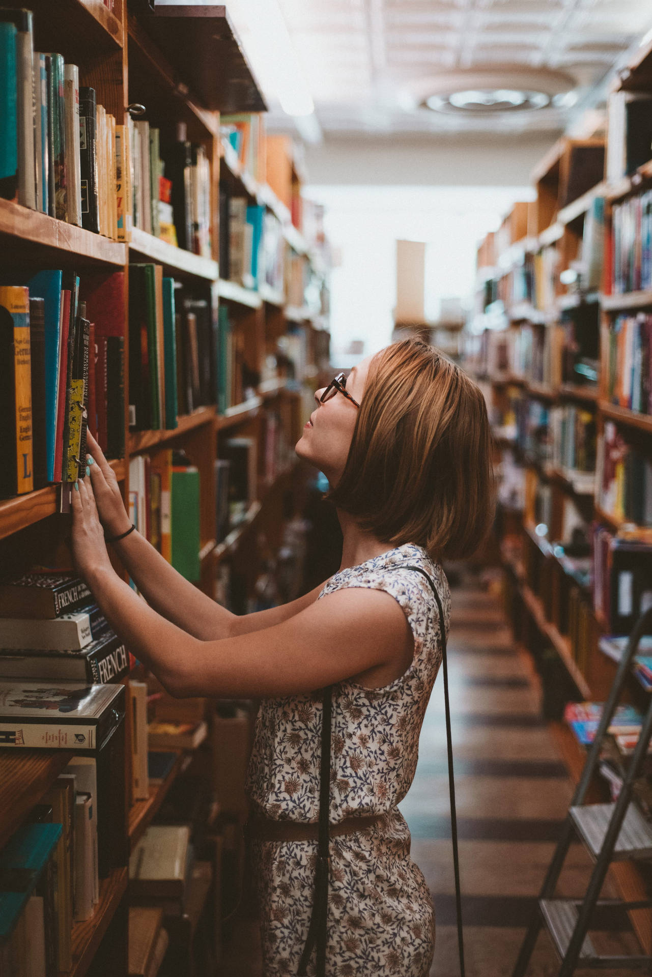 Knowledge Seeker In Library