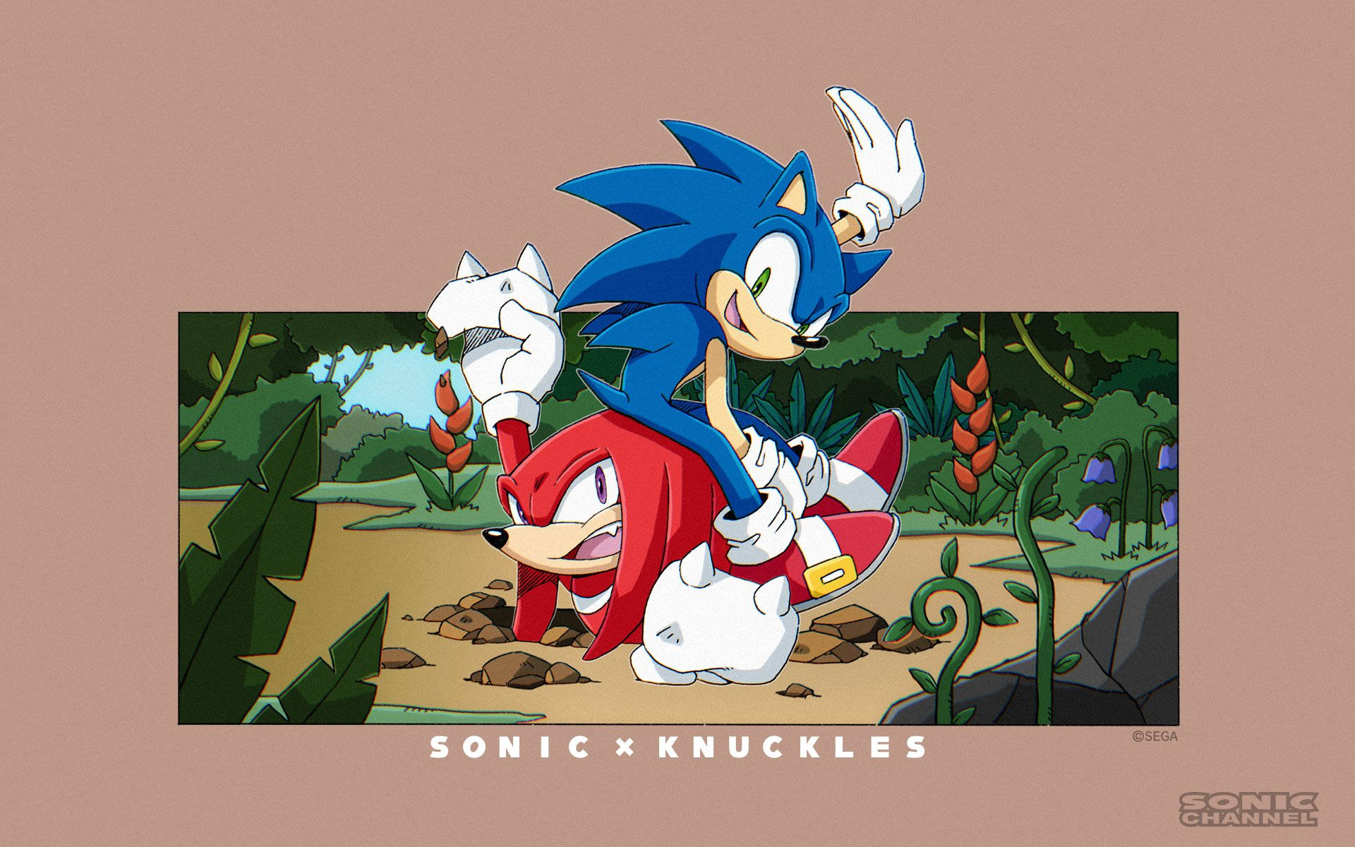Knuckles The Echidna Bestfriend Sonic Background