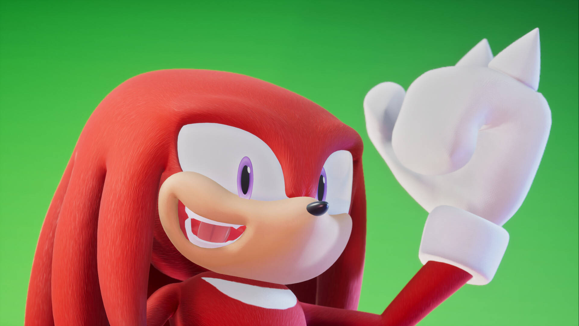 Knuckles The Echidna Green Background Background