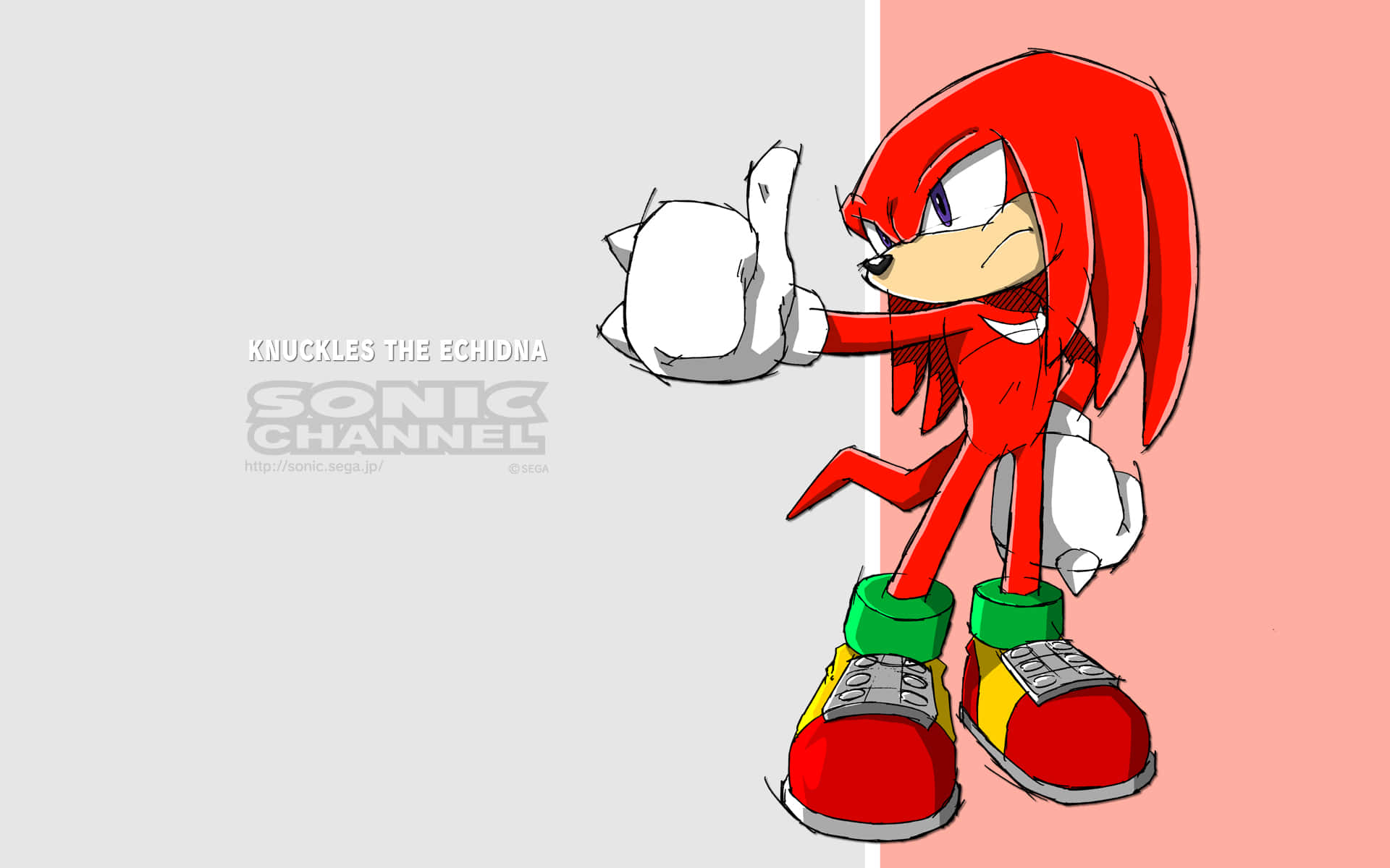Knuckles The Echidna Stands Guard Against Injustice And Danger. Background