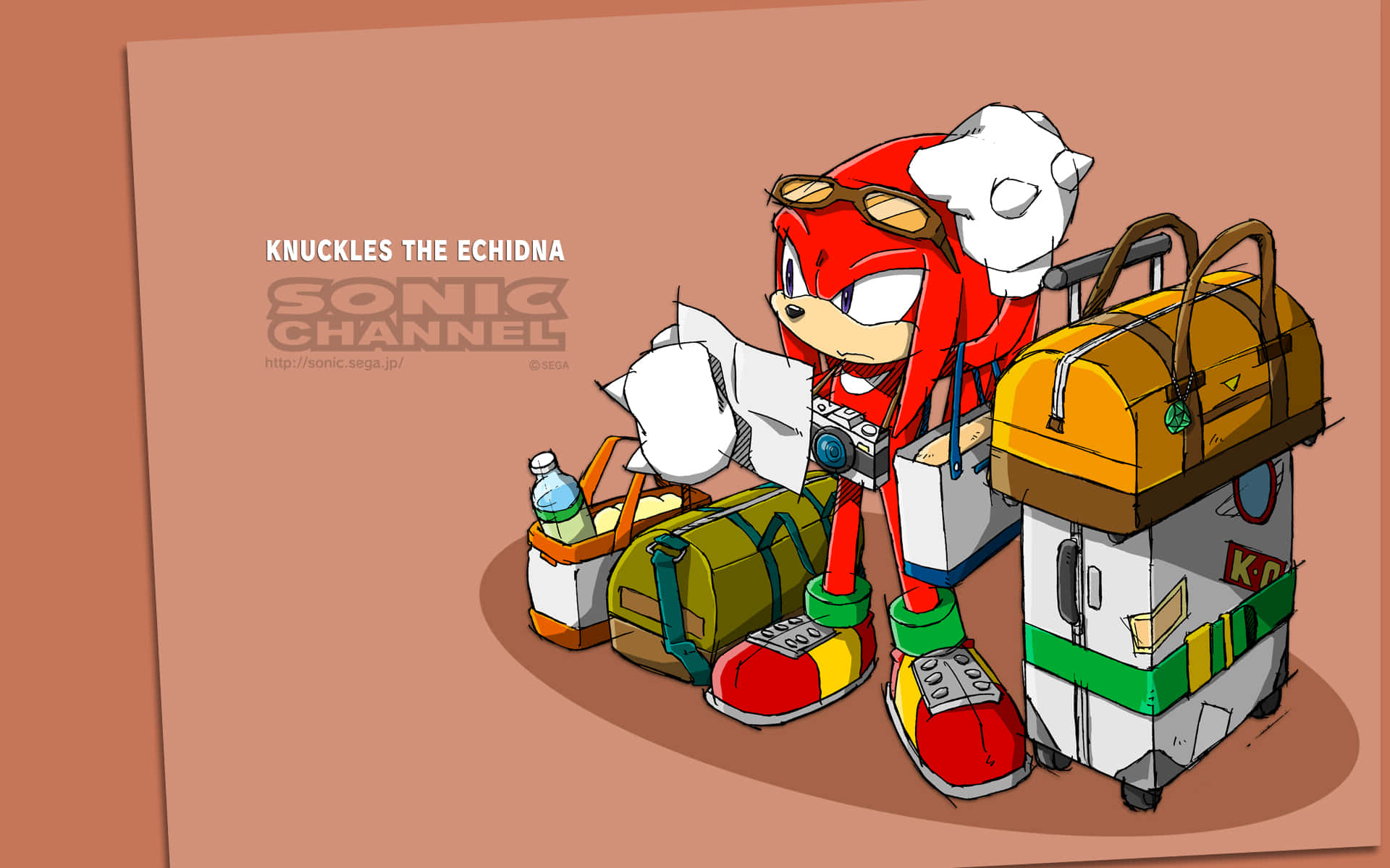 Knuckles The Echidna With Packed Bags