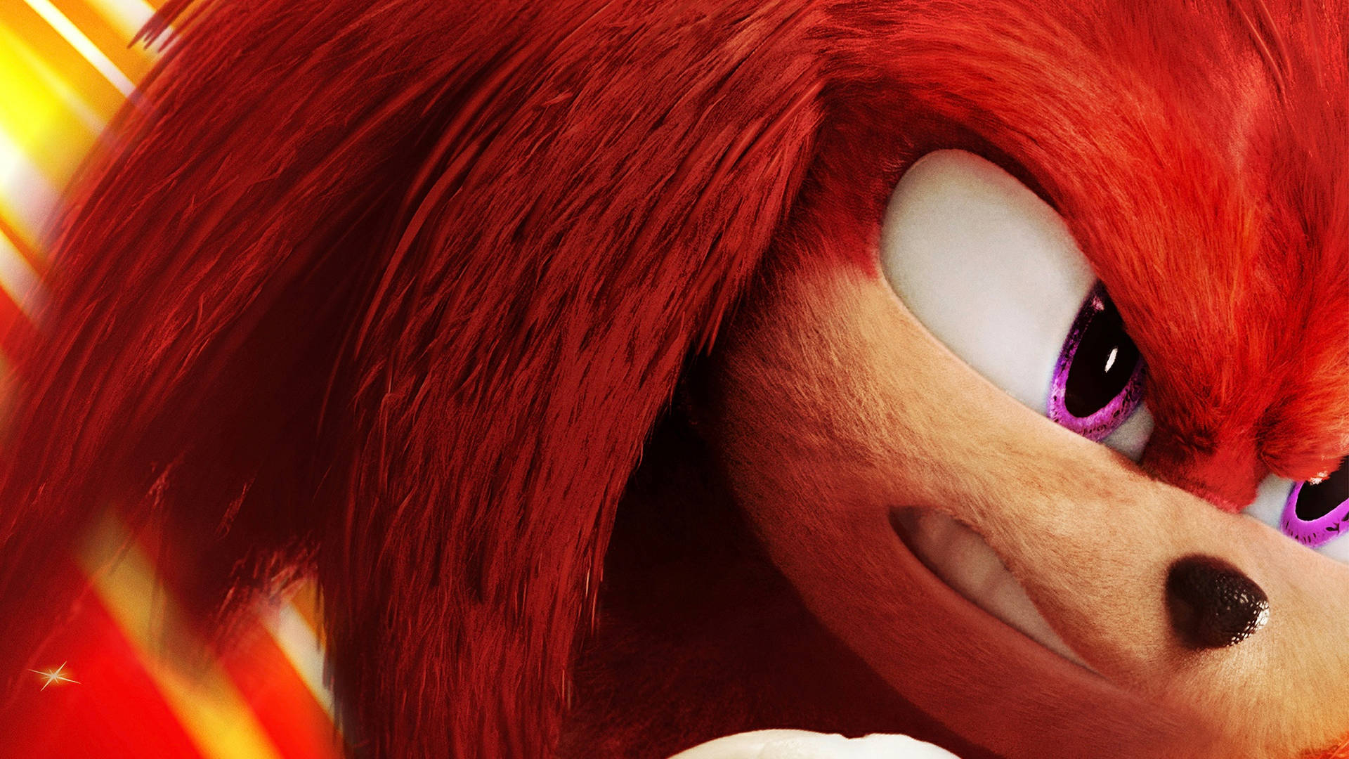 Knuckles The Echidna Zoom In Digital Art Background