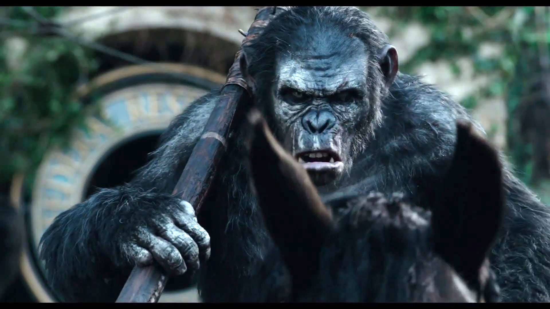 Koba Planet Of The Apes