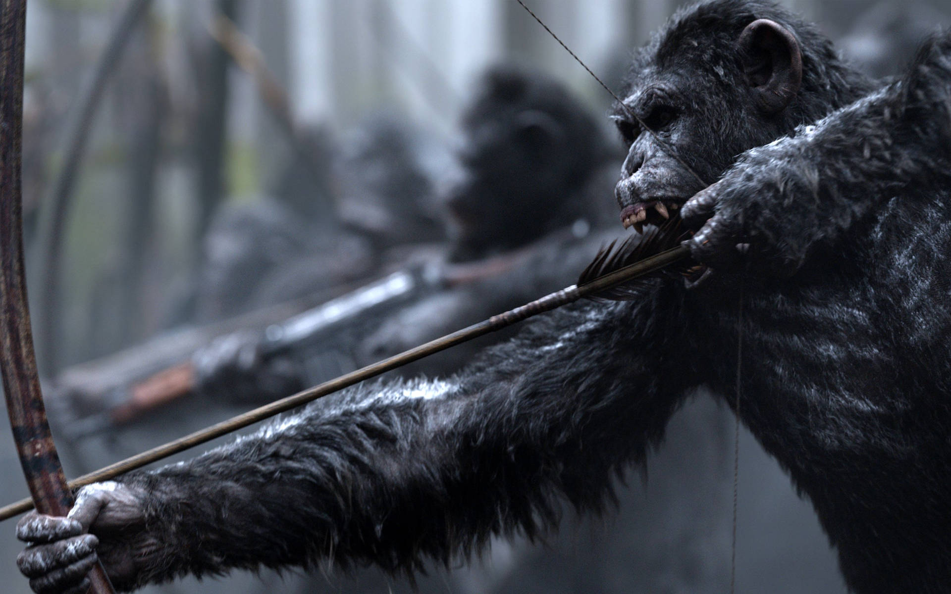 Koba War Of The Planet Of The Apes Background